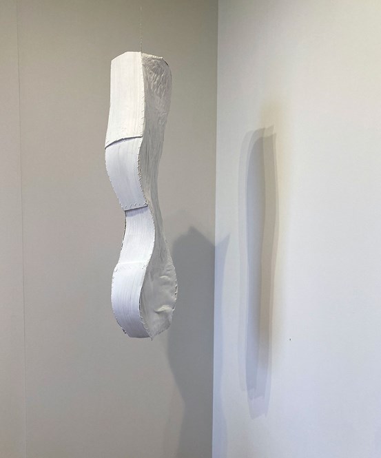 En vitmålad skulptur, som hänger från taket i en tunn ståltråd, i ett vitt hörn, smälter nästan in i sin omgivning. Den abstrakta skulpturens form är kurvig och mjuk. Man ser synliga spår av stygn längs sidorna. På väggarna runt om den, har ljussättningen skapat flera skuggor i varierande toner och skärpa.