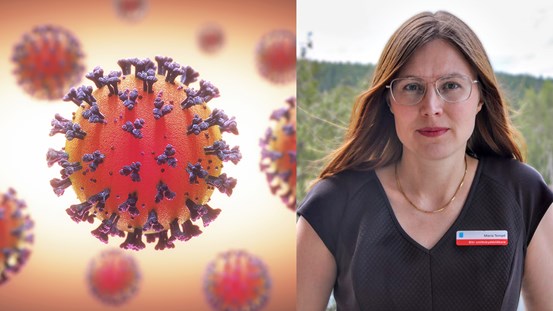 Illustration av ett covid-19 virus i närbild, bredvid syns ett porträtt av ställföreträdande smittskyddsläkare Maria Tempé.