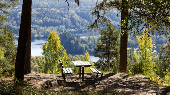 Sommarlandskap, Ångermanälven