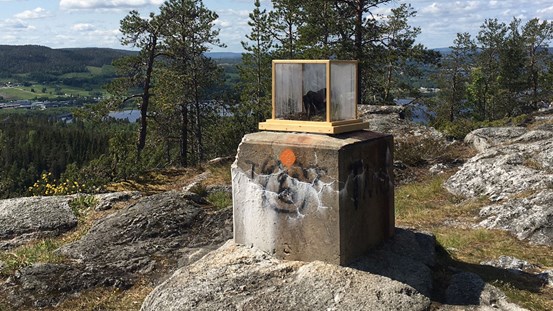 Installationen består av en glasmonter med en trästruktur placerad på ett nerklottrat befintligt betongfundament. På insidan finns en metalldel på en bit skog, med mossa och växtdelar, bakom immiga rutor. I bakgrunden ser man utsikten från Varvsbergets topp, en blandning av ett urbant och ett naturligt kustlandskap, under en blå himmel.