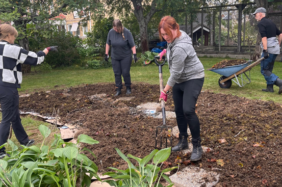 4 människor gräver i jord.