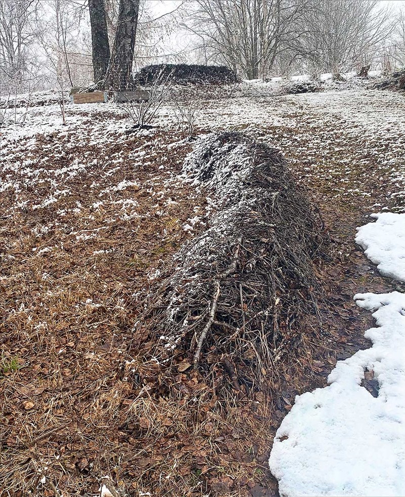 En trädgård, ett tunt snölager täcker delar av marken. Marken är täckt av torkade löv och gräs. En avlång böjd form, en skulptur av kvistar sträcker sig på marken från betraktaren. I bakgrunder syns träd och buskar. 