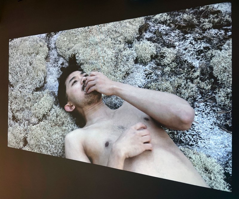 Foto av video. På skärmen syns den nakna överkroppen på en man med mörkt kort hår. Han ligger på rygg på marken på vit mossa. Han tittar rakt upp. Hans högra hand vilar på bröstet och hans vänstra håller han mot munnen. 