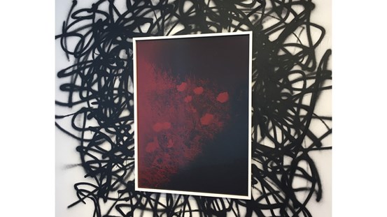 På den spraymålade graffiti väggen hänger ett inramat fotografi i svart och rött, som skildrar en äng med vallmo.