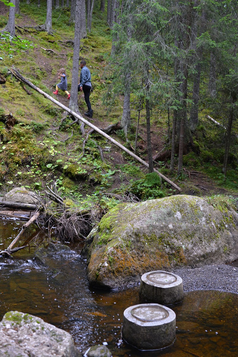 En bäck rinner genom skogen. I bäcken syns två cylindriska objekt av granit sticka upp, det är verket ”Drakens ögon”. Bakom verket och en stor stenbumling går en brant stig mellan träden. En nedfallen trädstam ligger intill stigen. En man i svarta byxor och en blå skjorta tillsammans med en liten flicka i röda stövlar kämpar sig upp för stigen. 