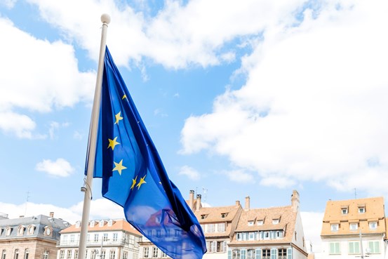 EU-flagga med hus i bakgrunden