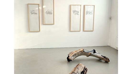 Vy från galleriet, två skulpturala objekt på golvet och fyra inramade bilder på väggen. 