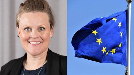 Sara Nylund, ordförande Strukturfondspartnerskapet, EU-flagga som vajar i vinden, collagebild