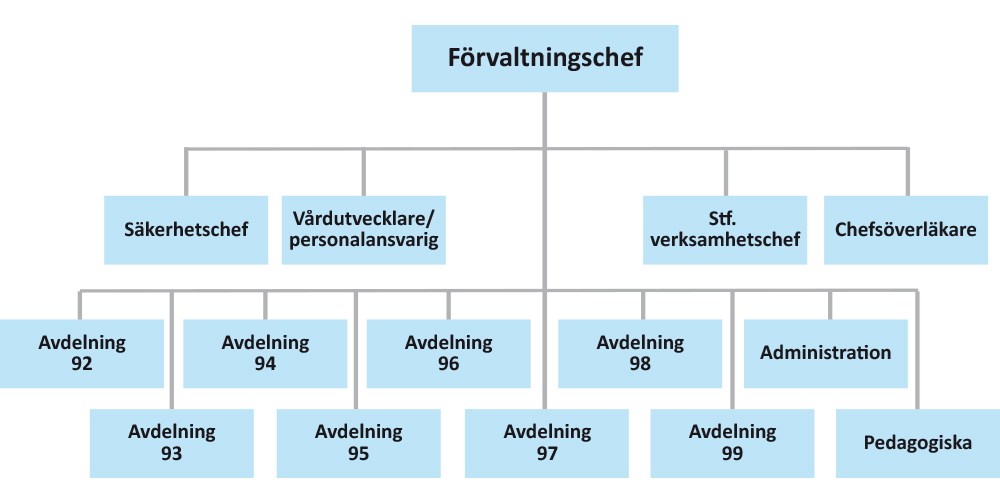 Organisationsskiss, Rättspsykiatriska regionkliniken, illustration