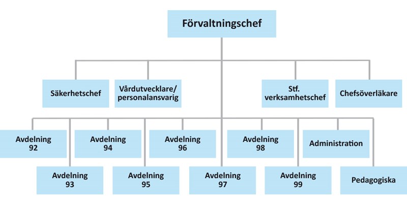 Organisationsskiss, Rättspsykiatriska regionkliniken, illustration