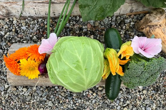 Grönsaker och blommor.