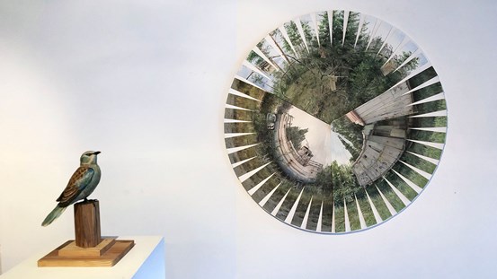 Till vänster en skulptur av en fågel som tittar till höger, mot ett collage uppklippt och sammansatt i form av en cirkel. 