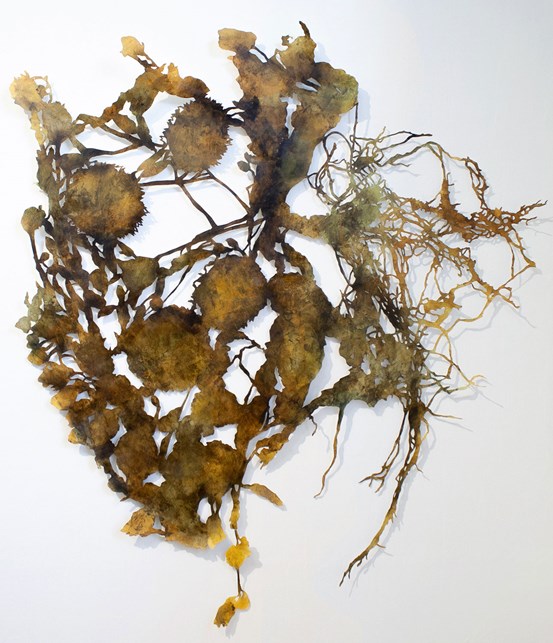 Ett verk utskuret i papper i brungula färgtoner. Det har en organisk form, ser ut som växter, blommor, löv, kvistar och rötter som växt ihop.