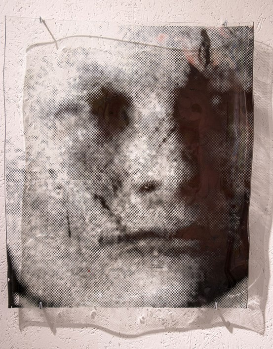 Foto. Ett screentryck på glas uppsatt på en vit vägg. Screentrycket föreställer ett ansikte i svartvitt, rastrerat och lite suddigt. Väggen syns igenom glaset och delar av trycket. 