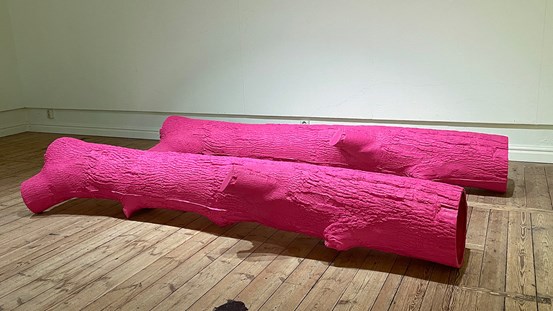 Foto. Två rosa stockar som ligger på trägolvet.