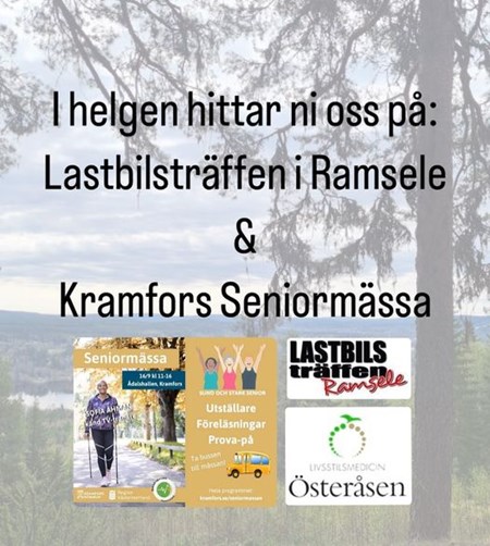Lastbilsträff och seniormässa