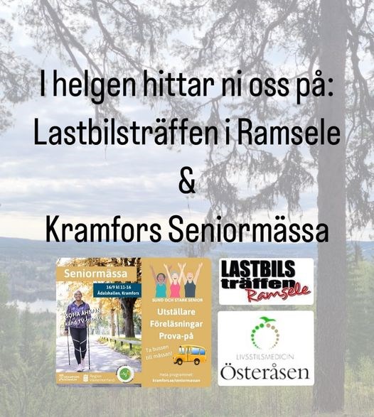 Lastbilsträff och seniormässa