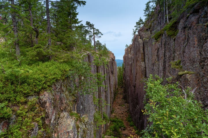 Djup skreva i ett berg i en skog.