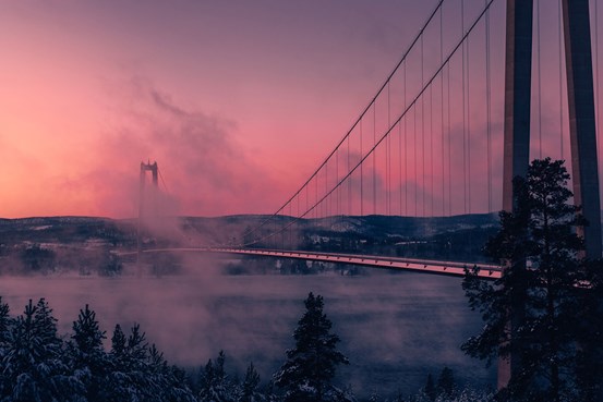 En vinterbild med vy över Höga kusten-bron. Det är skymning och himlen går i rosa och lila nyanser. Man anar att solen är på väg ner. I förgrunden snöiga gran- och talltoppar. Bron sträcker sig från höger i bild, från betraktaren, och åt vänster. Dis skymmer delar av den. I bakgrunden syns land och mer skog.