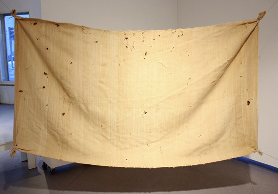 Ett uppspänt beigegult tyg med bla. löv som sitter fast i det. 