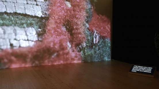 Ett videoverk skildrar tenntrådsbroderi genom en makrolins. Den färgstarka och storskaliga bilden i grönt och rosa, med silverstygn som blänker, projiceras på en hög vägg. Samtidigt på golvet framför en utdragen svart sammetsgardin, rullar en vitfärgad text på svenska från 1600-talet, på en svart skärm. 