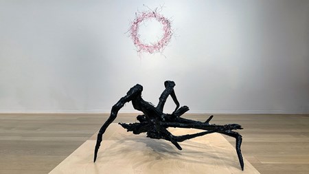 I förgrunden, på ett lågt träpodium, står en svart skulptur. Den är spretig, nästan insektsliknande, gjord av en stubbe, mossa, jord och asfalt. Bakom den, på den vita väggen, är en snirklig krans i röda toner tecknad i torrpastell. 