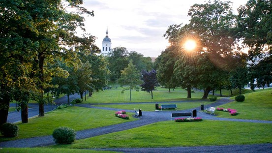 Vy över park  med gröna gräsmattor och träd. Några gångvägar och parkbänkar syns i bildens centrum. I bakgrunden syns ett kyrktorn och  solnedgången skiner mellan trädens löv. 