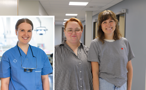 Matilda Nyman, Kajsa Milsten och Sofia Kindvall bredvid varandra kollar in i kameran.