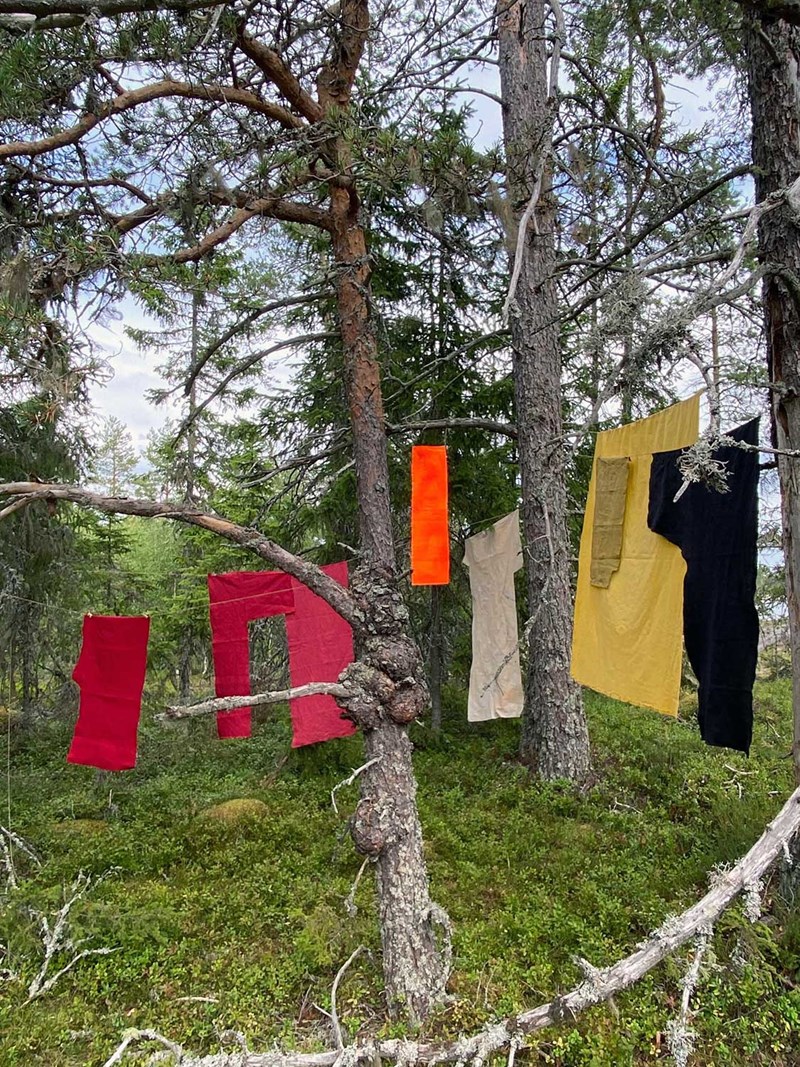 Foto av Jenny Lundgrens verk. Dukar i olika storlekar och färger är upphängda mellan träd, knotiga tallstammar.