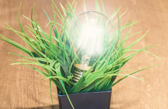 Gröna växter med en glödlampa som lyser, symboliserar innovation och uppfinningar.