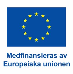 SV V Medfinansieras av Europeiska unionen_POS.jpg