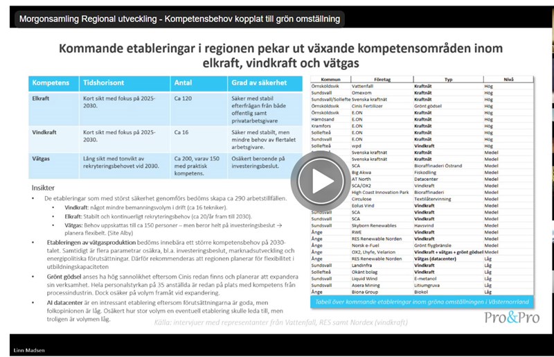 webbinarium kompetensbehov inom grön omställning