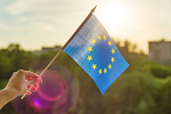 Hand som håller i liten EU-flagga