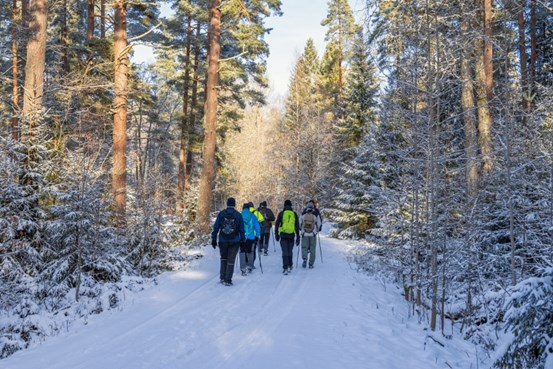 Flera personer som vandrar i en skog täckt med snö. 