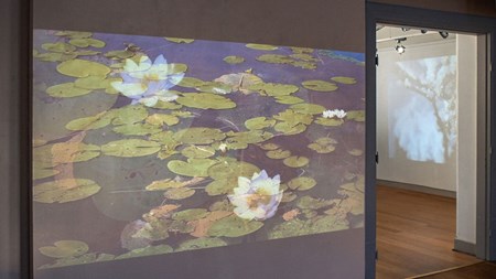 Ett nedsläckt rum där en film projiceras på en vägg. På filmen syns en vattenyta med vita näckrosor. Till höger om projektionen är en dörröppning till ett annat utställningsrum där man skymtar ett till verk. 