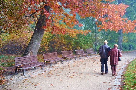 Två personer promenerar på en grusgång i en park omgiven av färgstarka höstträd och parkbänkar.