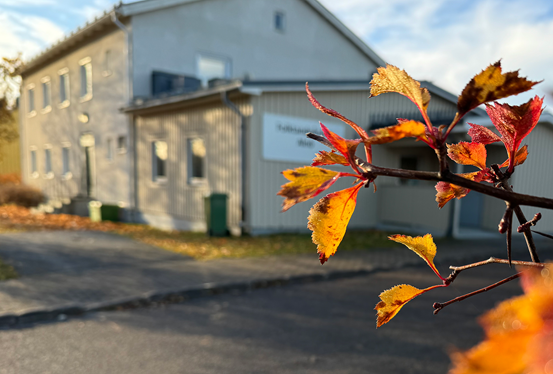 Exteriör på byggnad med höstlöv i förgrunden.