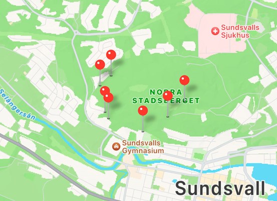 En karta över området med flera röda knappnålar. 