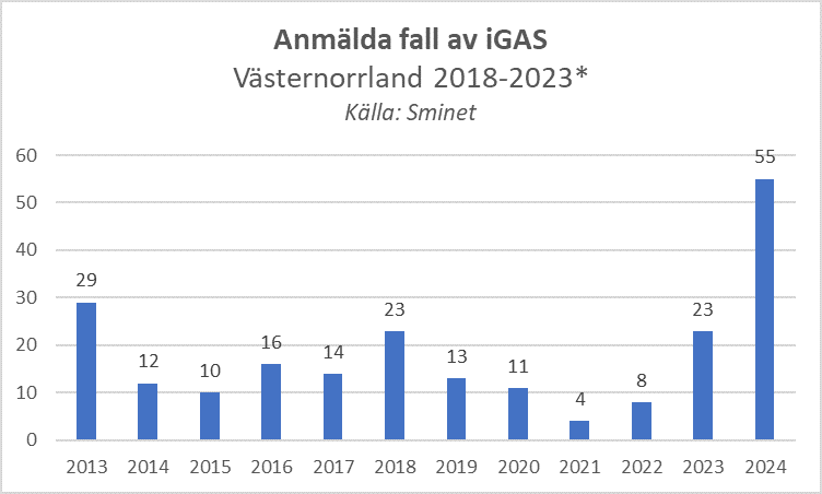 alt='diagram över anmälda fall av iGAS 2013-2024. Flest fall sågs 2013, 2018 och 2024.'