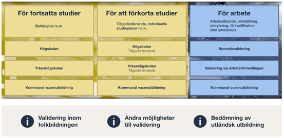 Diagram som visar validering för studier eller arbete via högskola, yrkeshögskola, kommunal vuxenutbildning och bransch.