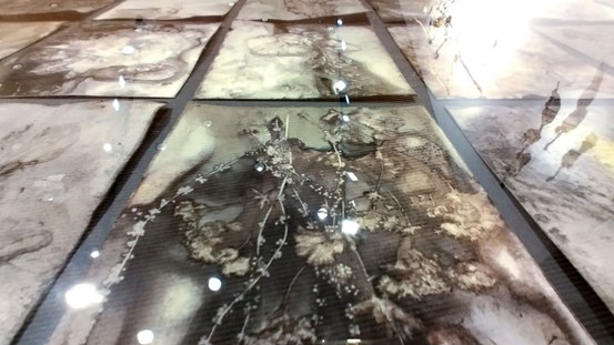 En mängd papper i flera rader med mönster av färgväxter. 