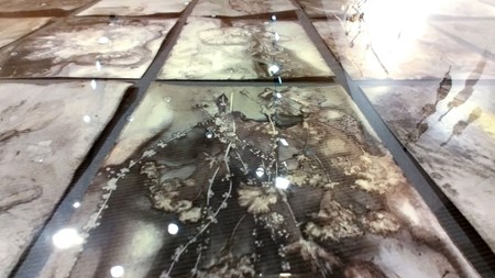 En mängd papper i flera rader med mönster av färgväxter. 