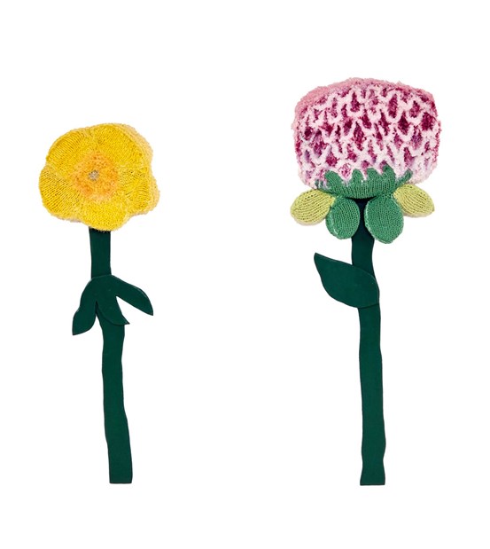 Foto av Smörblomma och Rödklöver