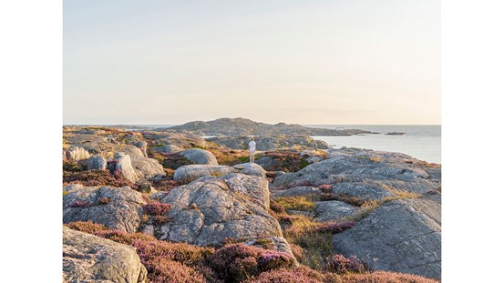 Foto av ett klipplandskap vid havets kant. Mellan klipporna lyser ljungen lila, himmeln och havet har samma ljusa gråblå ton. I bildens centrum står en person i vita underkläder och blickar ut över klipporna, över horisonten. 