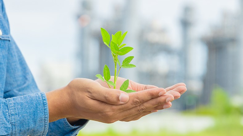 Händer som håller i planta framför industri