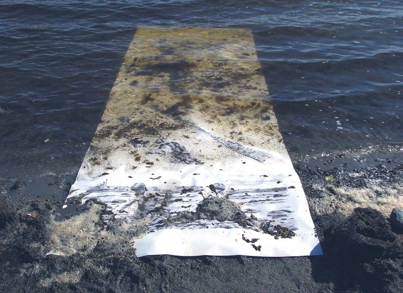 Foto av Ylva Westerlunds verk. En teckning på ett långt stycke vit textil som sträcker sig från betraktaren och strandkanten ut i vattnet. Teckningen är delvis dold av det grumliga i vattnet.