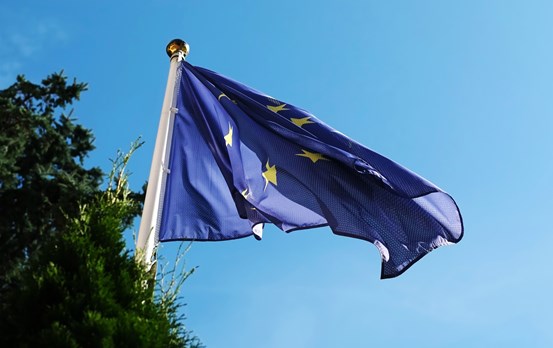 EU-flagga på flaggstång mot bakgrund av träd och blå himmel.