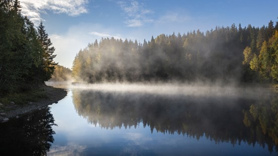 Spegelblankt vattendrag med dimma. Skog runtom och blå himmel.