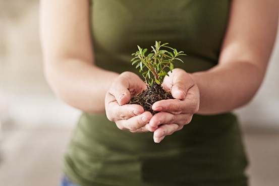 Person håller i jord i händerna, ur jorden syns i växt växa fram.