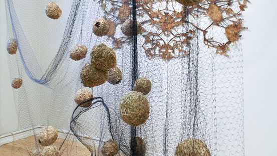 Ett svart nät hänger en bit framför en vit vägg. I nätet sitter runda bollar av halm, ett hål syns i vissa. De ser ut som fågelbon. I bakgrunden skymtar ett annat verk på den vita väggen.